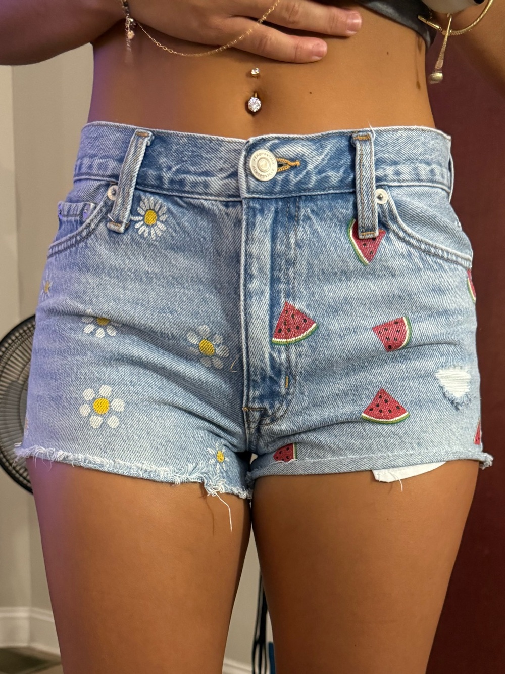 Aeropostale Light Blue Denim Shorts with Daisy & Watermelon Patches